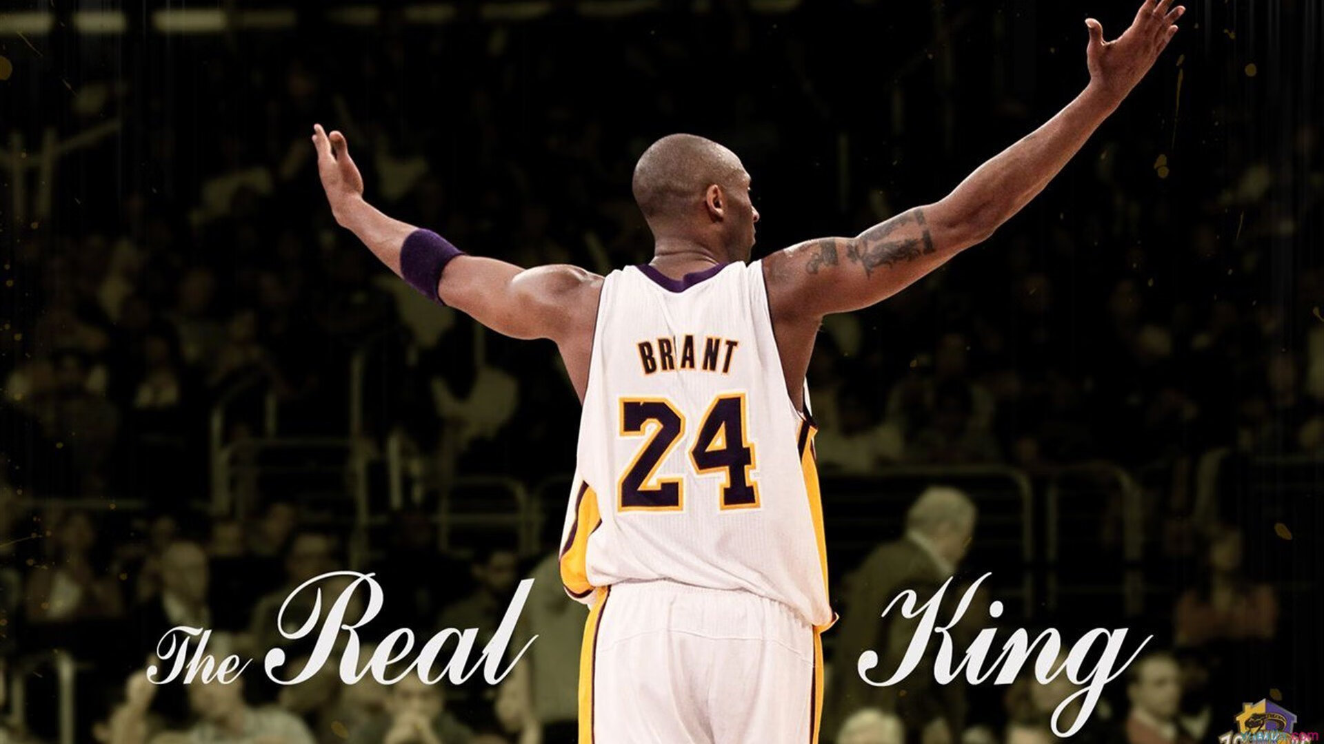 从蒙特卡洛险胜到年终惊艳,穆雷如何用两场胜利定义坚韧